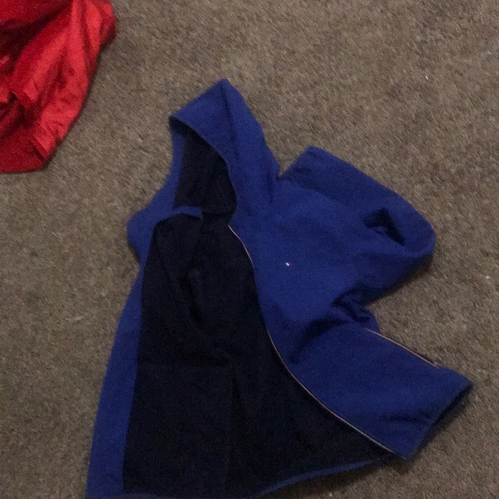Tommy Hilfiger Blue and Black Hoodie